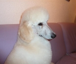 P1010911 (Small)